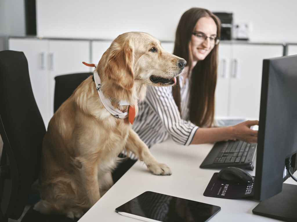 Mitarbeiterin der Steuerberatungskanzlei Puntigam in Graz sitzt vor Schreibtisch und neben ihr ein Hund.