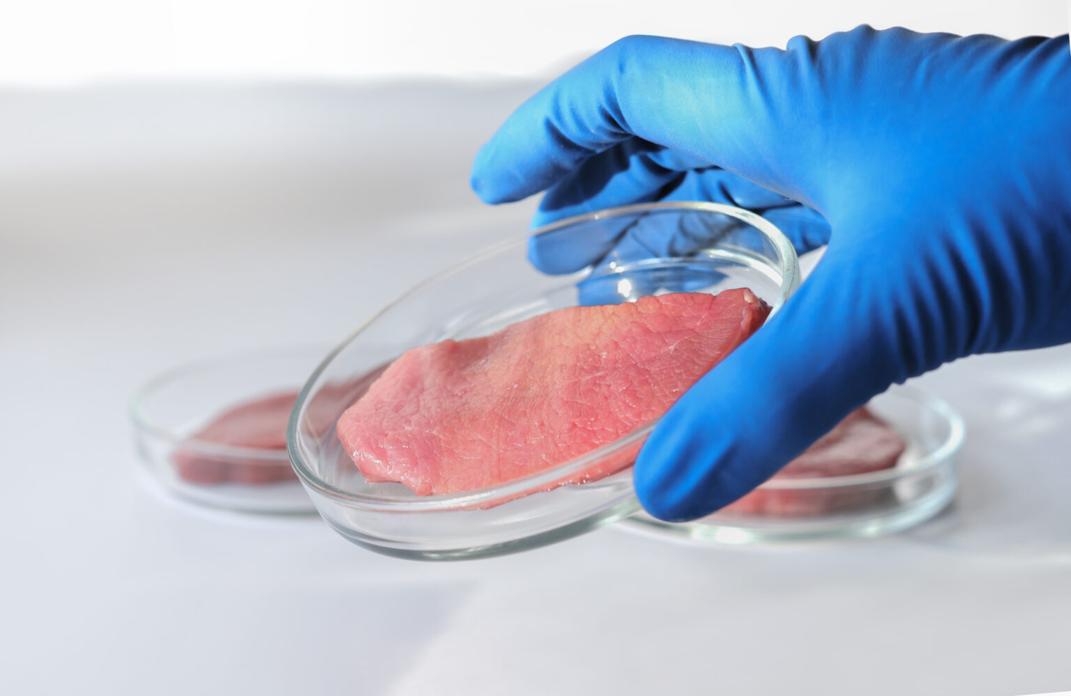 Hand mit blauem Handschuh hält eine Schale mit künstlich produziertem Fleisch
