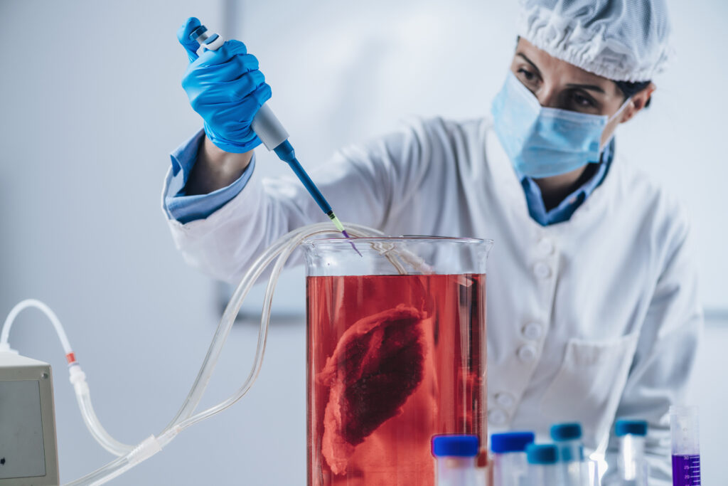 Laborfleisch wird von einer Frau in Laborkleidung produziert