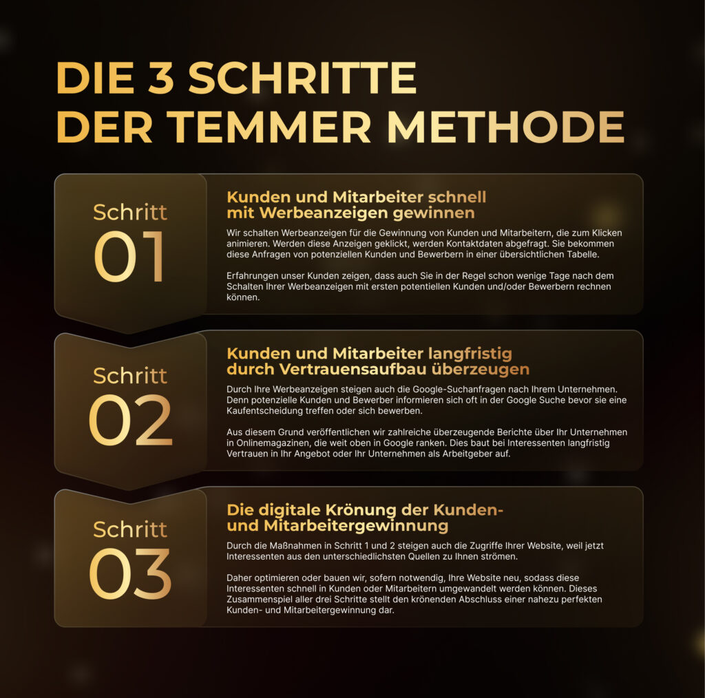 Grafik: Die 3 Schritte der Temmer Methode